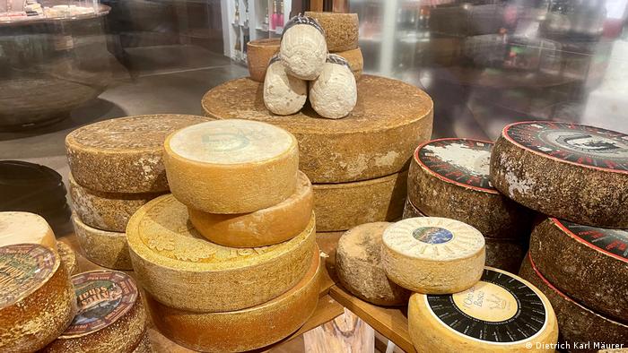 سالم‌ترین انواع پنیر کدامند؟