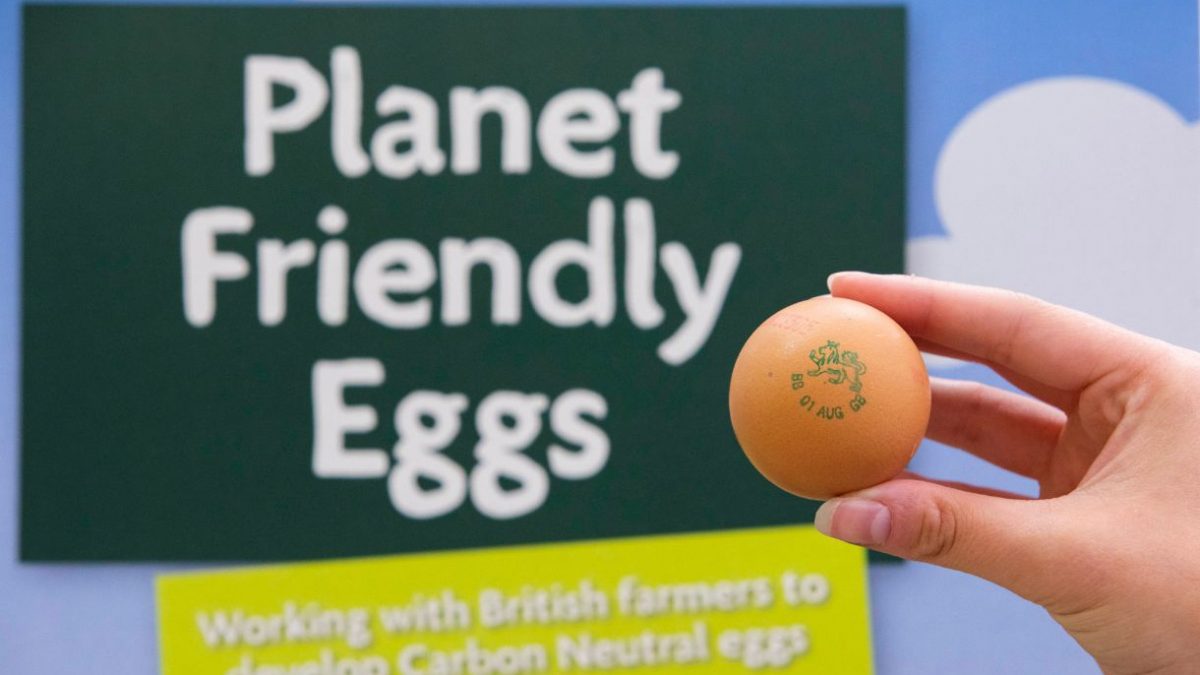 “Morrisons” تخم‌ مرغ های کربن خنثی را روانه بازار می‌کند